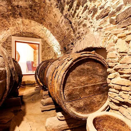 Ferienhaus Casa Fumanal - Unique For Up To 24 Abizanda